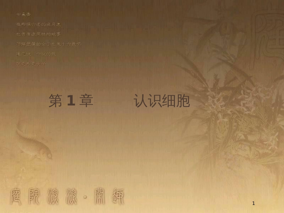 高中生物 第1章 认识细胞优质课件 北师大版必修1_第1页