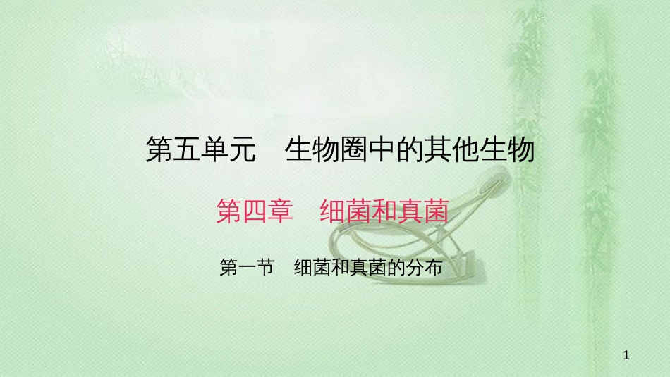 八年级生物上册 第五单元 第四章 第一节 细菌和真菌的分布优质课件 （新版）新人教版_第1页