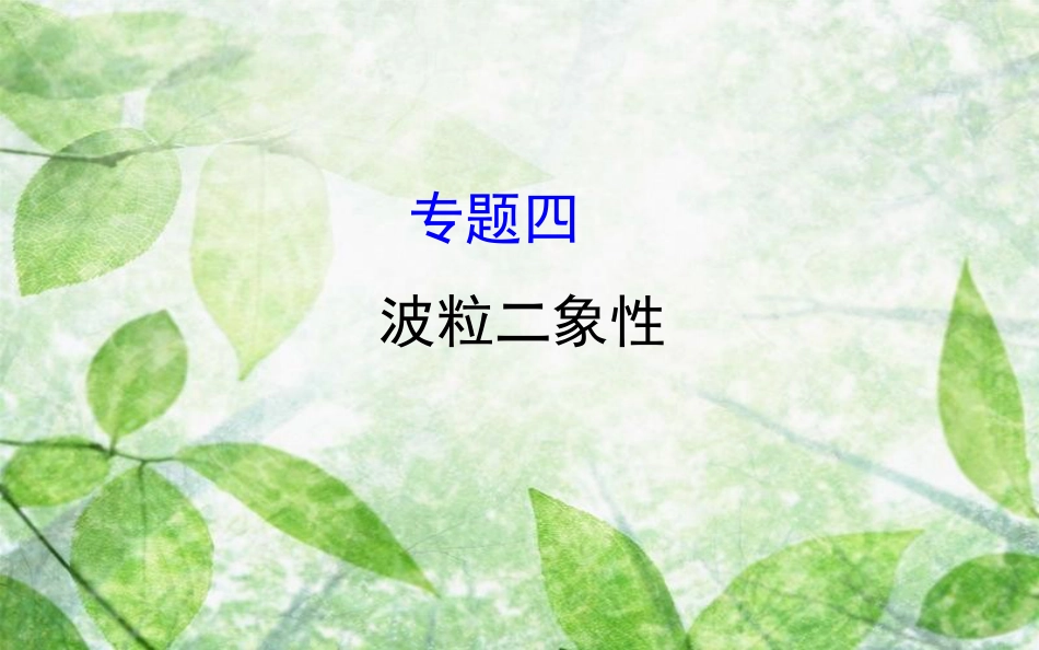 高中物理 模块复习课 专题四优质课件 教科版选修3-5_第1页