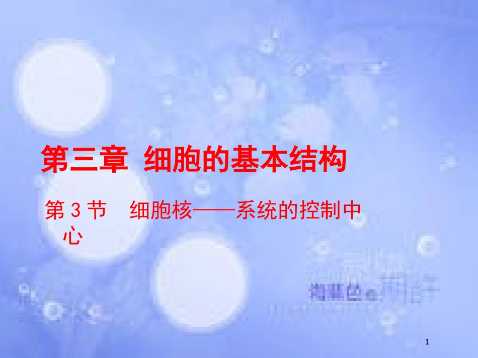 高中生物 第三章 细胞的基本结构 3.3 细胞核-系统的控制中心课件2 新人教版必修1_第1页