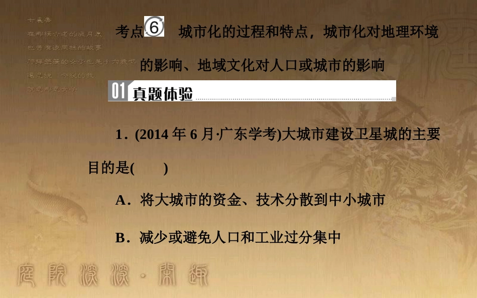 高中地理学业水平测试复习 专题五 自然环境对人类活动的影响 考点6 城市化的过程和特点，城市化对地理环境的影响、地域文化对人口或城市的影响优质课件_第2页