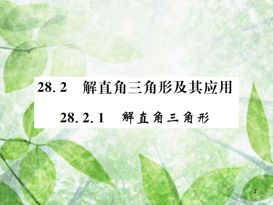 九年级数学下册 第二十八章 锐角三角函数 28.2 解直角三角形及其应用 28.2.1 解直角三角形习题优质课件 （新版）新人教版_第1页