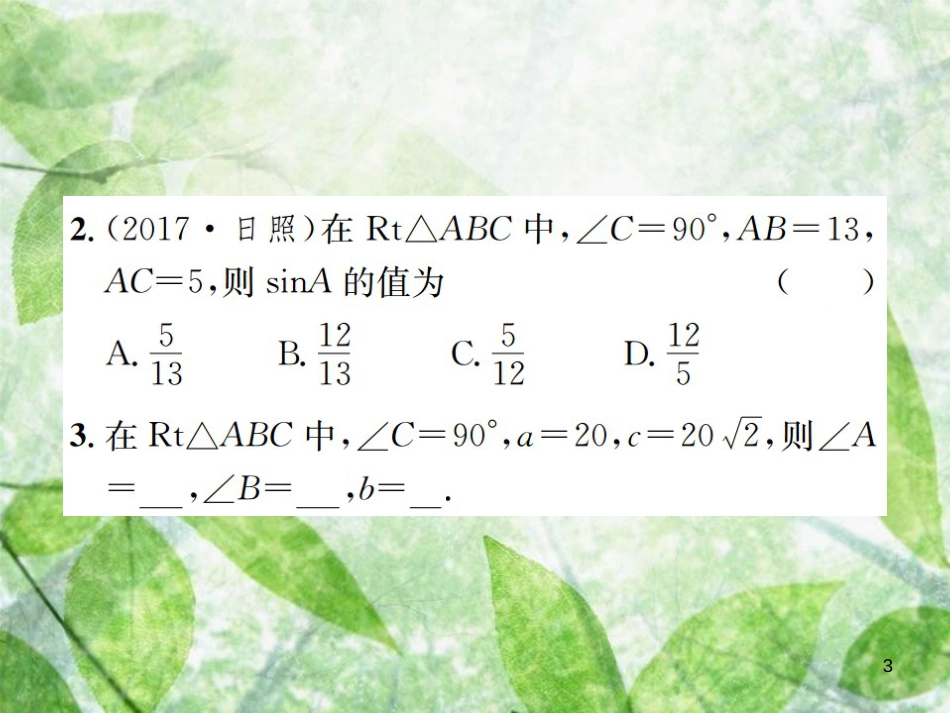 九年级数学下册 第二十八章 锐角三角函数 28.2 解直角三角形及其应用 28.2.1 解直角三角形习题优质课件 （新版）新人教版_第3页