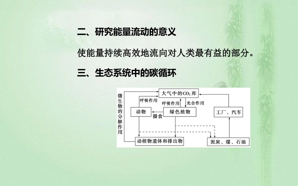 高中生物学业水平复习 专题十六 生态系统及生态环境的保护 考点2 生态系统中物质循环和能量流动的基本规律及应用优质课件_第3页