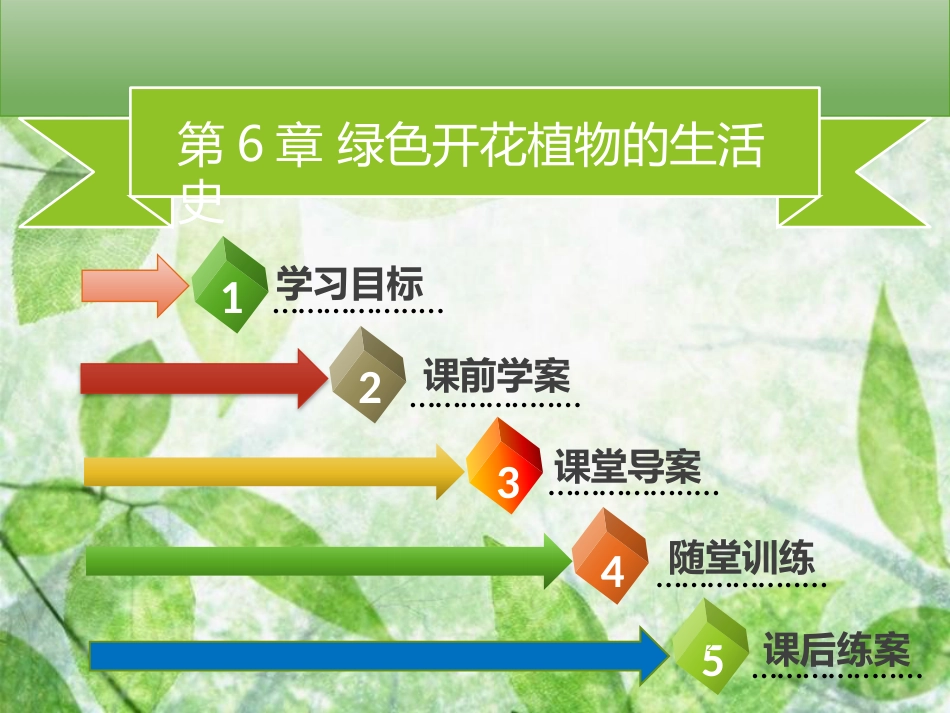 七年级生物上册 第三单元 第6章 第1节 种子萌发形成幼苗习题优质课件 （新版）北师大版_第2页