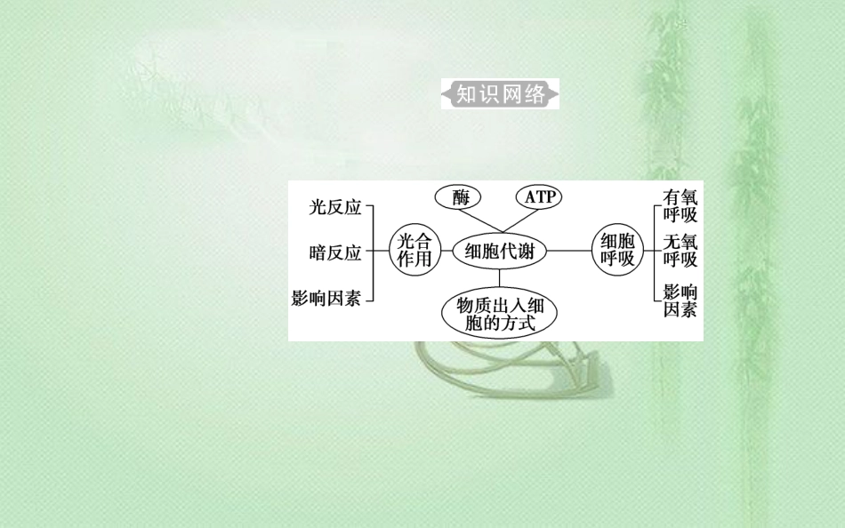 高中生物学业水平复习 专题三 细胞代谢 考点1 物质出入细胞的方式优质课件_第3页