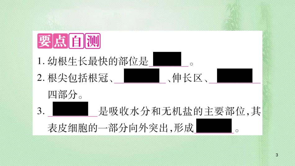 七年级生物上册 第3单元 第2章 第2节 植株的生长习题优质课件 （新版）新人教版_第3页