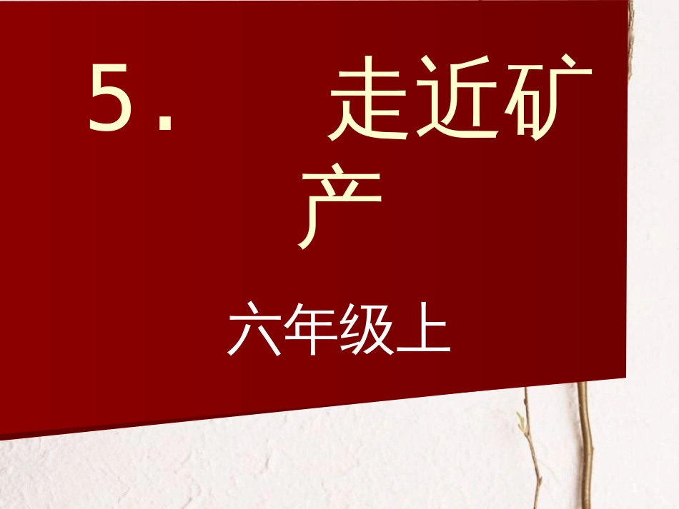 六年级科学上册 3.5 走进矿产课件2 湘教版[共25页]_第1页