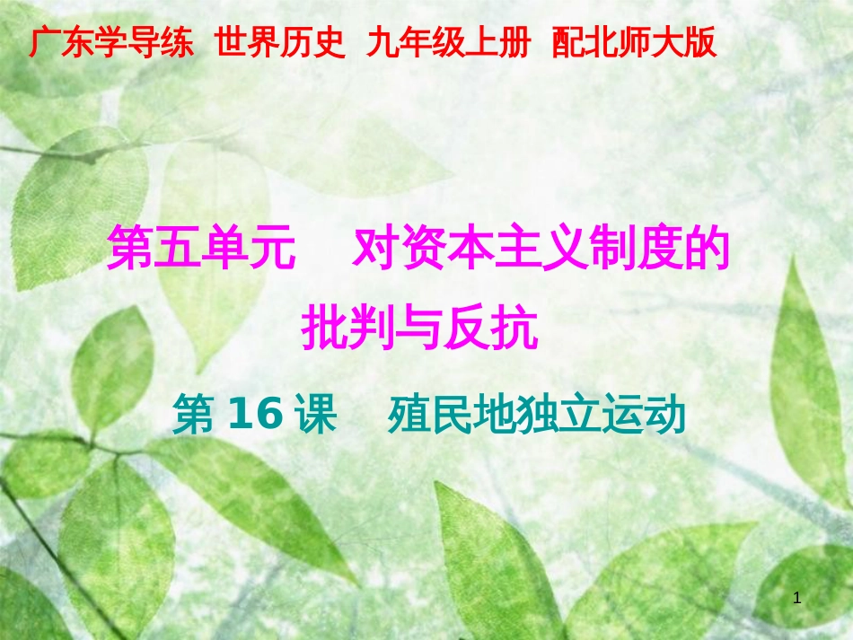 九年级历史上册 第五单元 对资本主义制度的批判与反抗 第16课 殖民地独立运动优质课件 北师大版_第1页