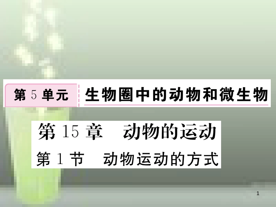 八年级生物上册 5.15.1 动物运动的方式优质课件 （新版）北师大版_第1页