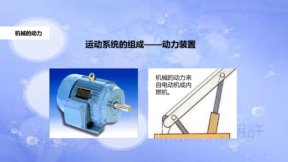 八年级生物上册 5.2.1《动物的运动》教学课件 （新版）新人教版_第3页