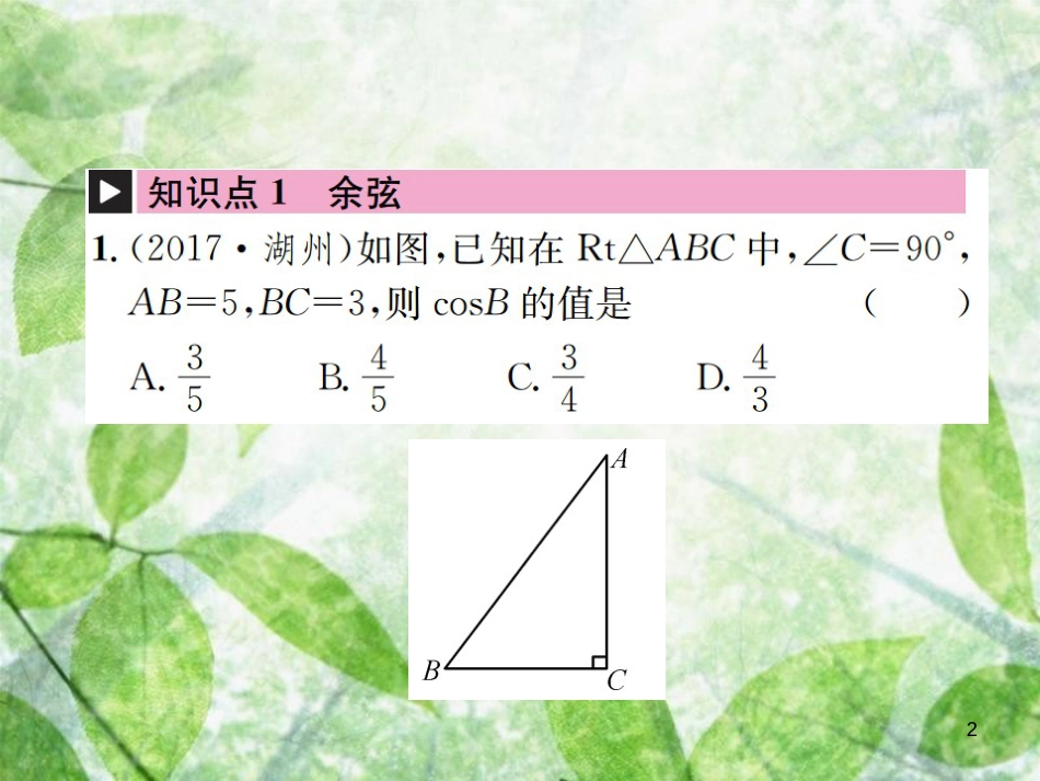 九年级数学下册 第二十八章 锐角三角函数 28.1 锐角三角函数 第2课时 锐角三角函数习题优质课件 （新版）新人教版_第2页