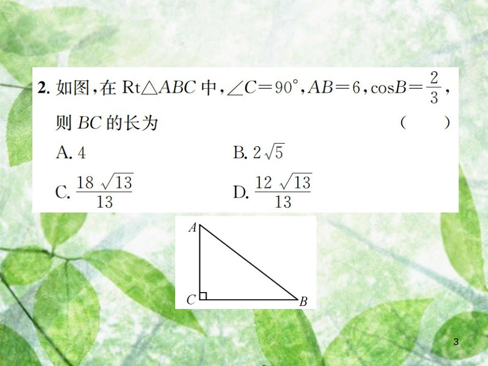 九年级数学下册 第二十八章 锐角三角函数 28.1 锐角三角函数 第2课时 锐角三角函数习题优质课件 （新版）新人教版_第3页