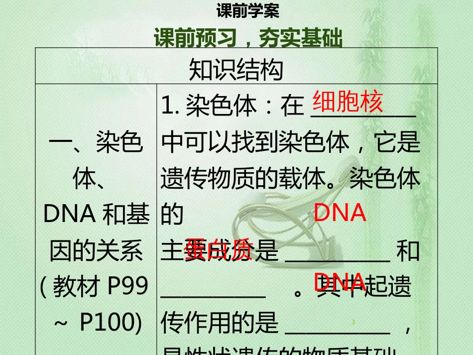 八年级生物上册 第六单元 第20章 第2节 性状遗传的物质基础习题优质课件 （新版）北师大版_第3页