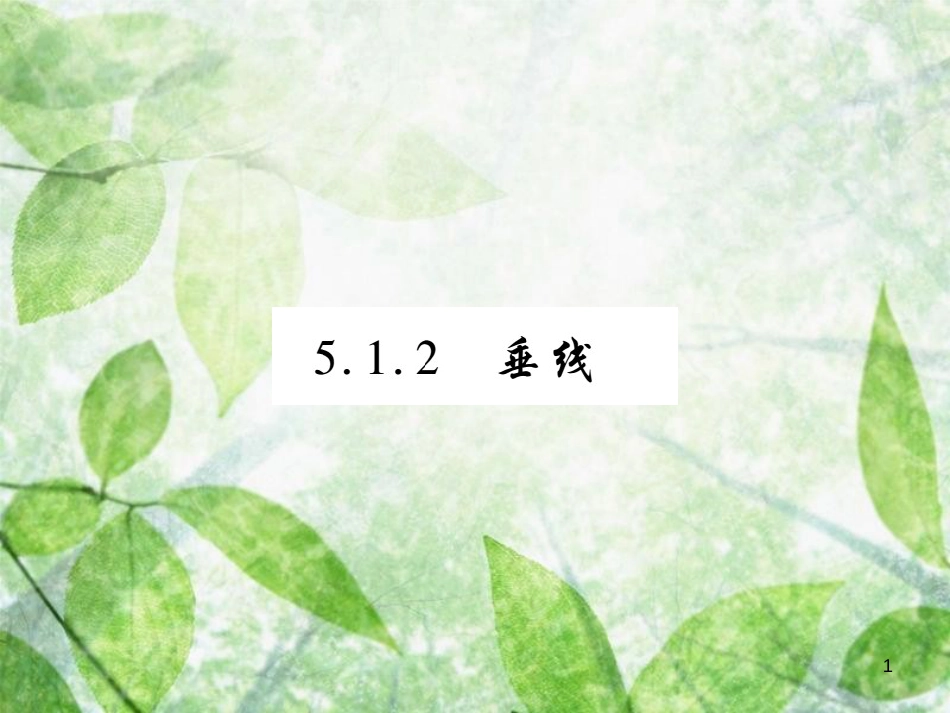 七年级数学上册 第5章 相交线与平行线 5.1 相交线 5.1.2 垂线练习优质课件 （新版）华东师大版_第1页