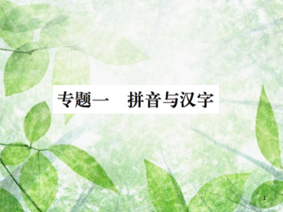 九年级语文上册 期末专题复习一 拼音与汉字习题优质课件 新人教版_第1页
