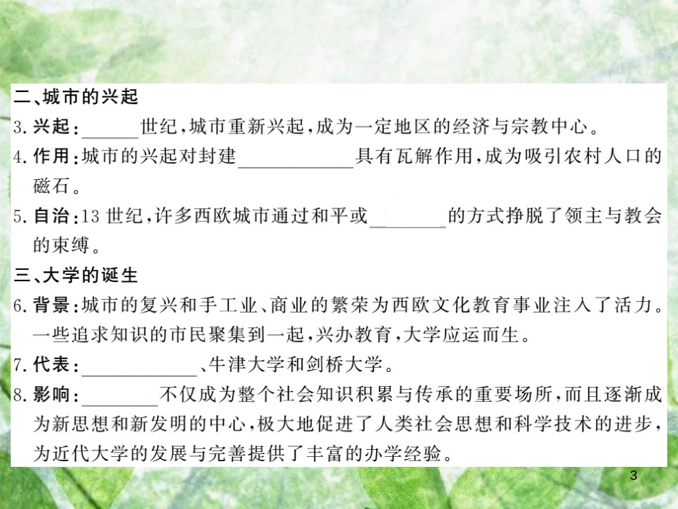 九年级历史上册 第三单元 中古时期的欧亚国家 第8课 西欧的乡村与城市优质课件 岳麓版_第3页