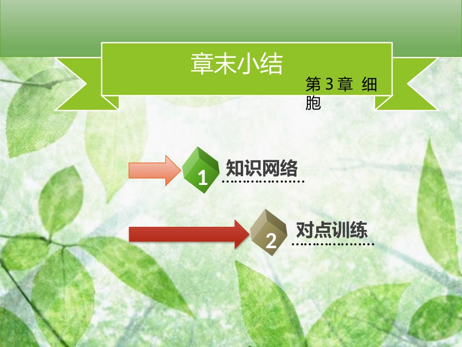 七年级生物上册 第二单元 第3章 细胞 章末小结习题优质课件 （新版）北师大版_第2页