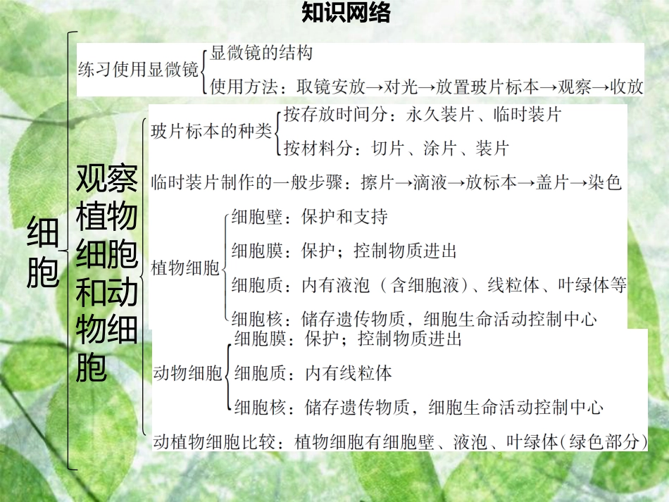 七年级生物上册 第二单元 第3章 细胞 章末小结习题优质课件 （新版）北师大版_第3页