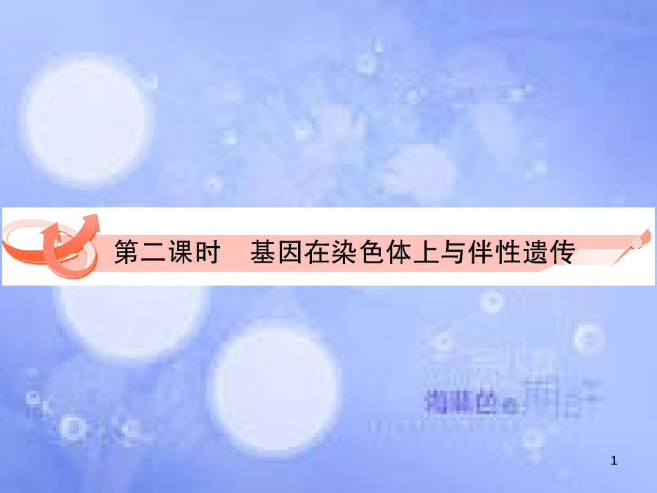 高三生物一轮复习 第二章 基因在染色体上和伴性遗传（第2课时）精品课件（必修2）_第1页