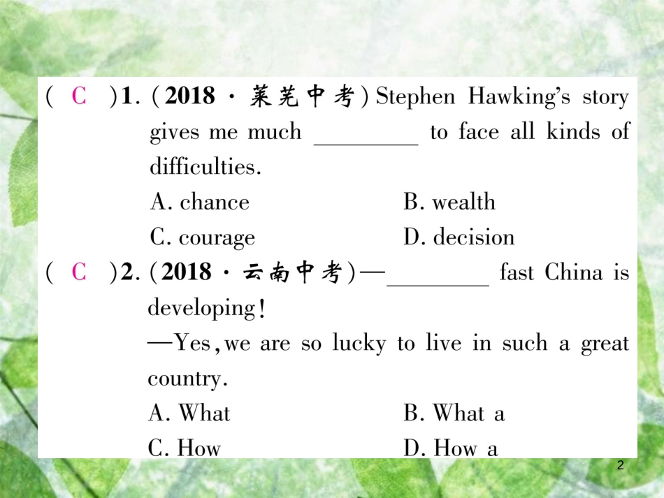 九年级英语全册 专题训练 专题1 单项选择优质课件 （新版）人教新目标版_第2页