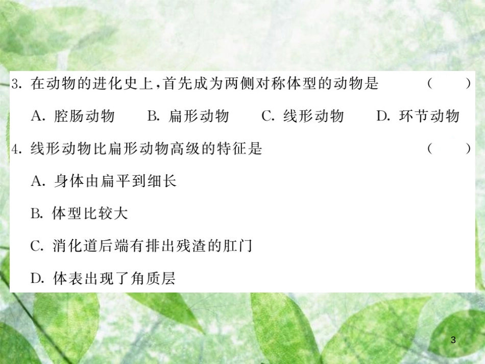 八年级生物上册 第五单元 第一章 动物的主要类群综合检测习题优质课件 （新版）新人教版_第3页