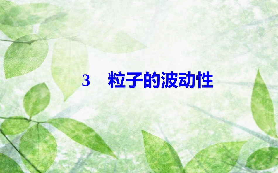 高中物理 第十七章 波粒二象性 3 粒子的波动性优质课件 新人教版选修3-5_第2页