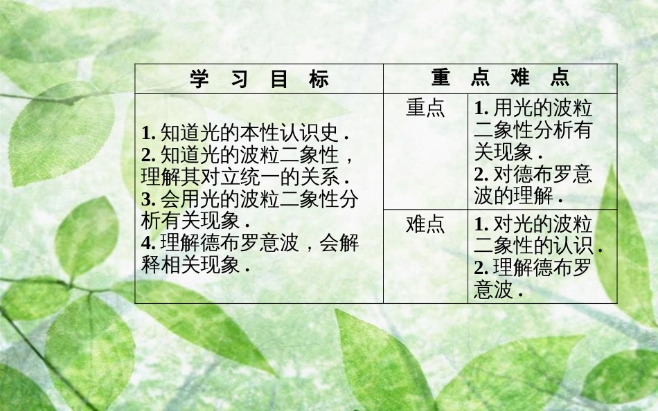 高中物理 第十七章 波粒二象性 3 粒子的波动性优质课件 新人教版选修3-5_第3页