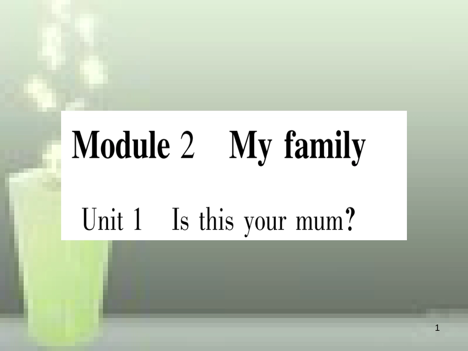 七年级英语上册 Module 2 My family优质课件 （新版）外研版_第1页