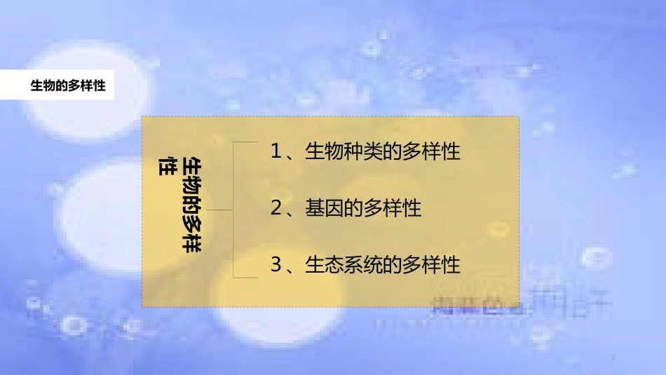 八年级生物上册 6.2《认识生物的多样性》教学课件 （新版）新人教版_第3页