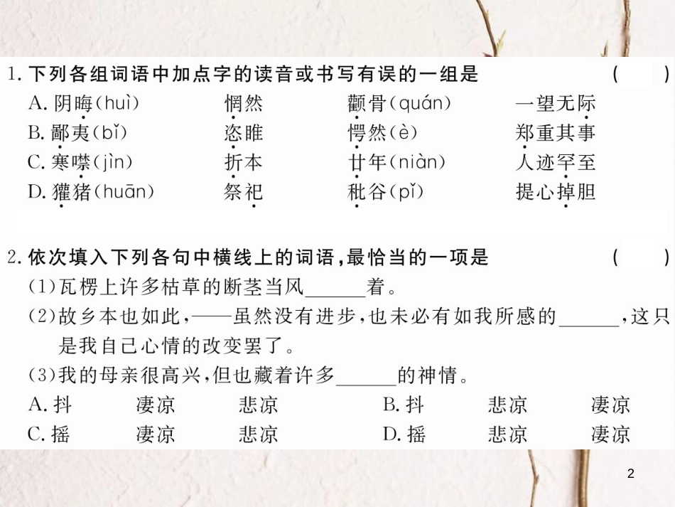八年级语文下册 第三单元 9 故乡习题课件 鄂教版[共19页][共19页]_第2页