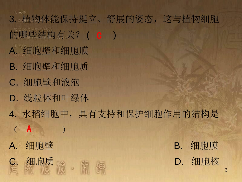 七年级生物上册 第二单元 第一章 第二节 植物细胞课堂十分钟优质课件 （新版）新人教版_第3页