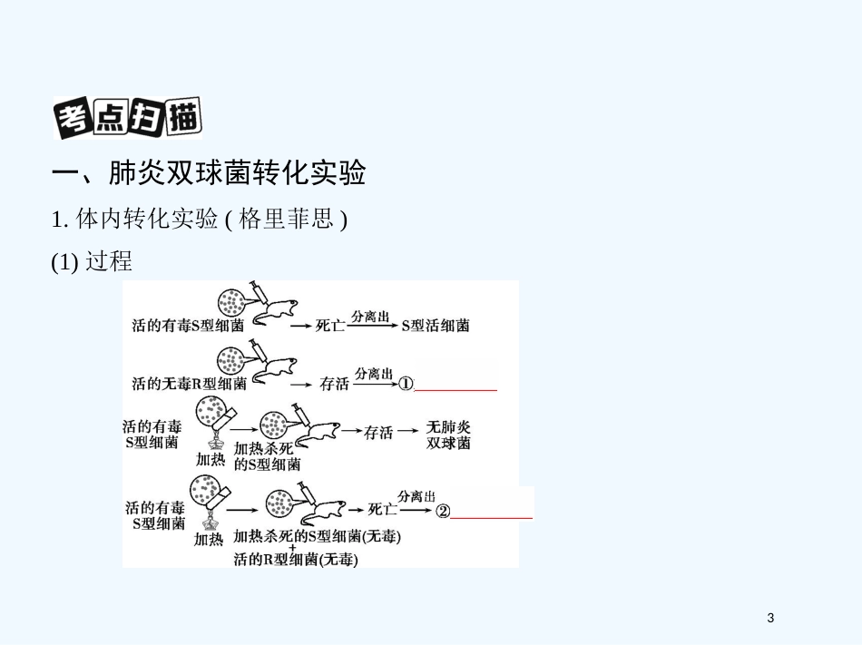 （北京专用）2019版高考生物一轮复习 第12讲 基因的本质优质课件_第3页