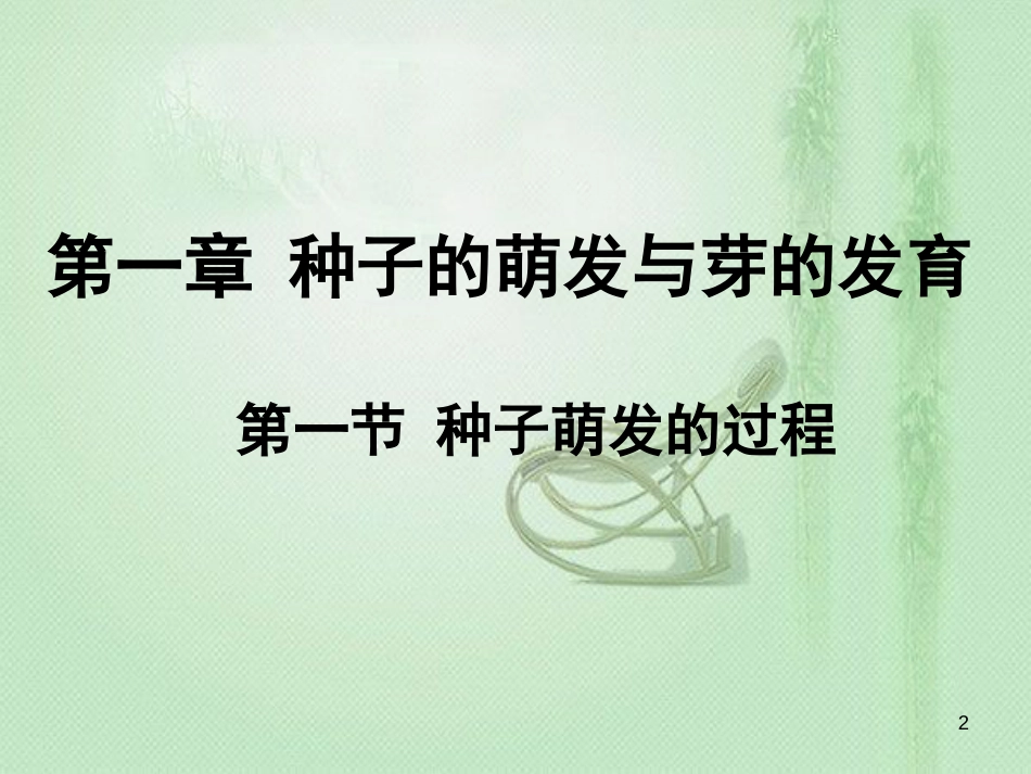 八年级生物上册 第三单元 第一章 第一节 种子萌发的过程优质课件 （新版）冀教版_第2页