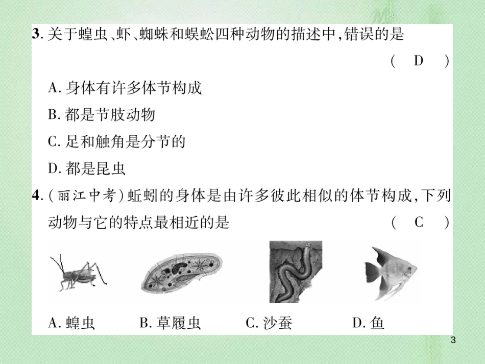 八年级生物上册 期末标测试优质课件一 （新版）新人教版_第3页