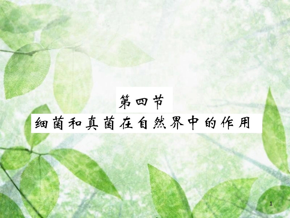 八年级生物上册 第五单元 第4章 第4节 细菌和真菌在自然界中的作用习题优质课件 （新版）新人教版_第1页