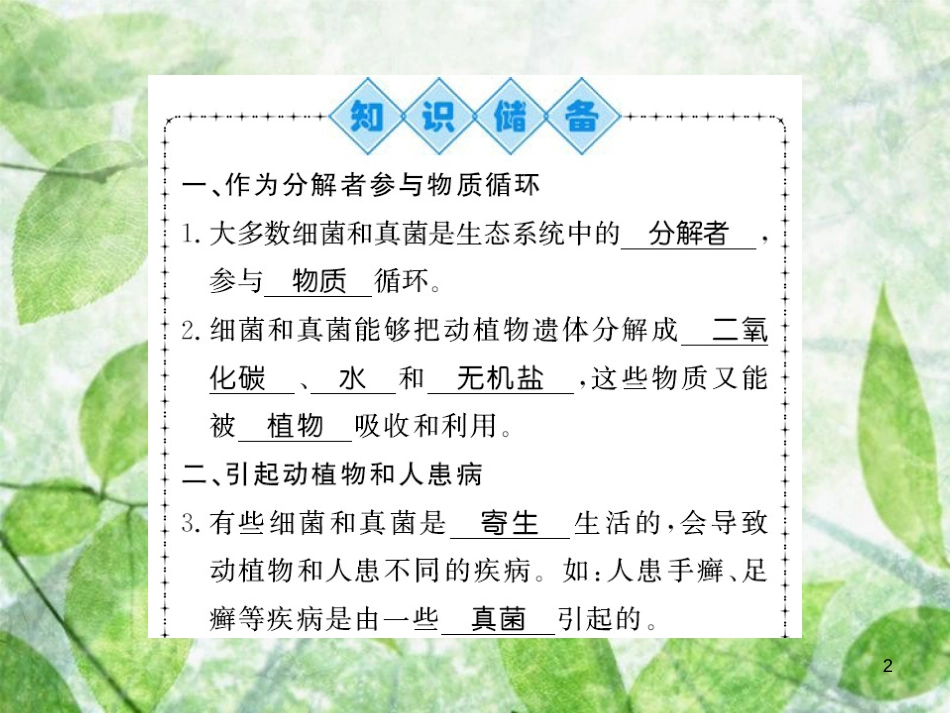 八年级生物上册 第五单元 第4章 第4节 细菌和真菌在自然界中的作用习题优质课件 （新版）新人教版_第2页