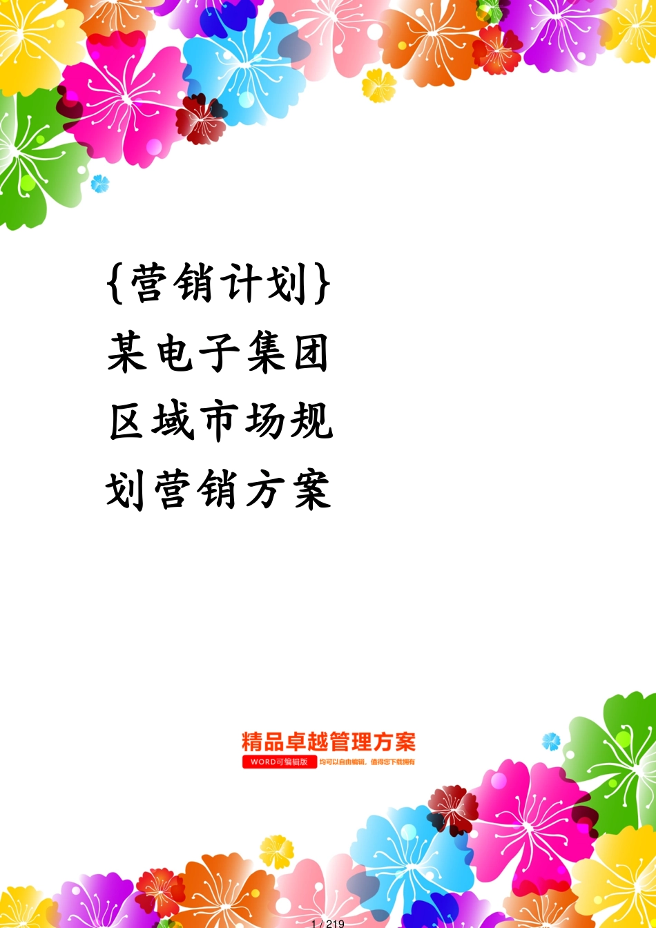 某电子集团区域市场规划营销方案_第1页