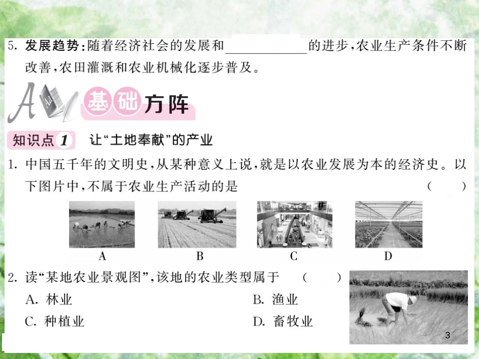 八年级地理上册 第4章 第一节 农业（第1课时 让土地奉献的产业 中国农业的发展）习题优质课件 （新版）湘教版_第3页