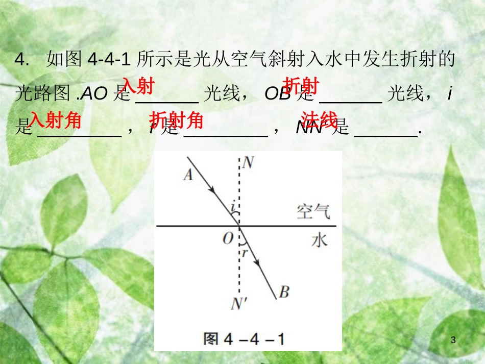 八年级物理上册 第四章 第4节光的折射习题优质课件 （新版）新人教版_第3页