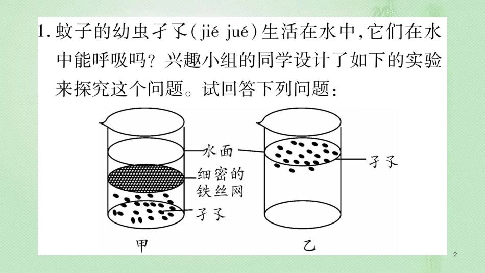 七年级生物上册 实验专项训练习题优质课件 （新版）北师大版_第2页