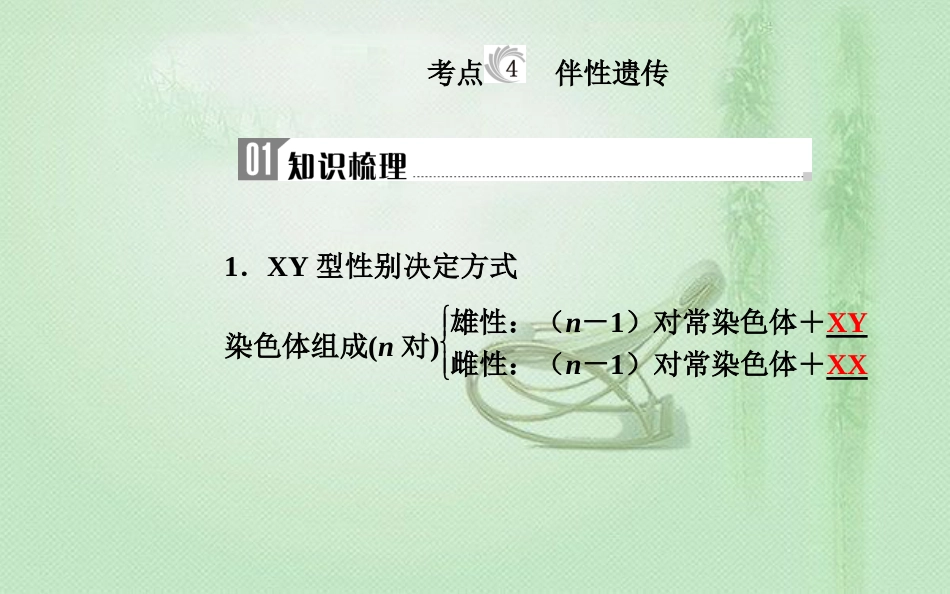 高中生物学业水平复习 专题八 遗传的基本规律 考点4 伴性遗传优质课件_第1页
