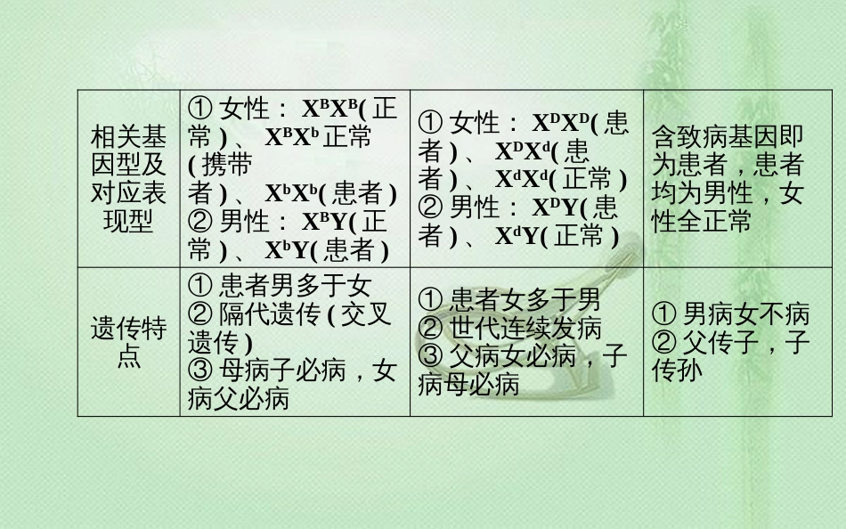 高中生物学业水平复习 专题八 遗传的基本规律 考点4 伴性遗传优质课件_第3页