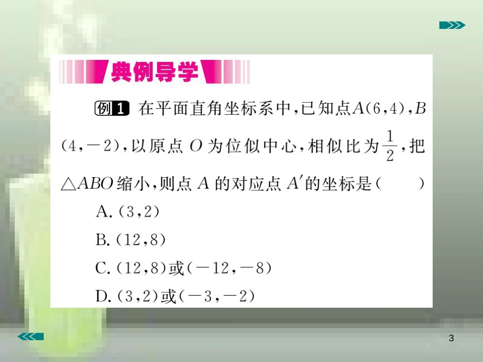 九年级数学上册 4.8 图形的位似 第2课时 平面直角坐标系中的位似变换讲练优质课件 （新版）北师大版_第3页