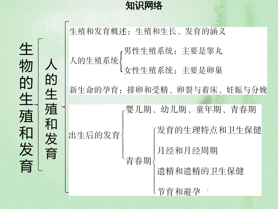 八年级生物上册 第六单元 第19章 生物的生殖和发育章末小结习题优质课件 （新版）北师大版_第2页