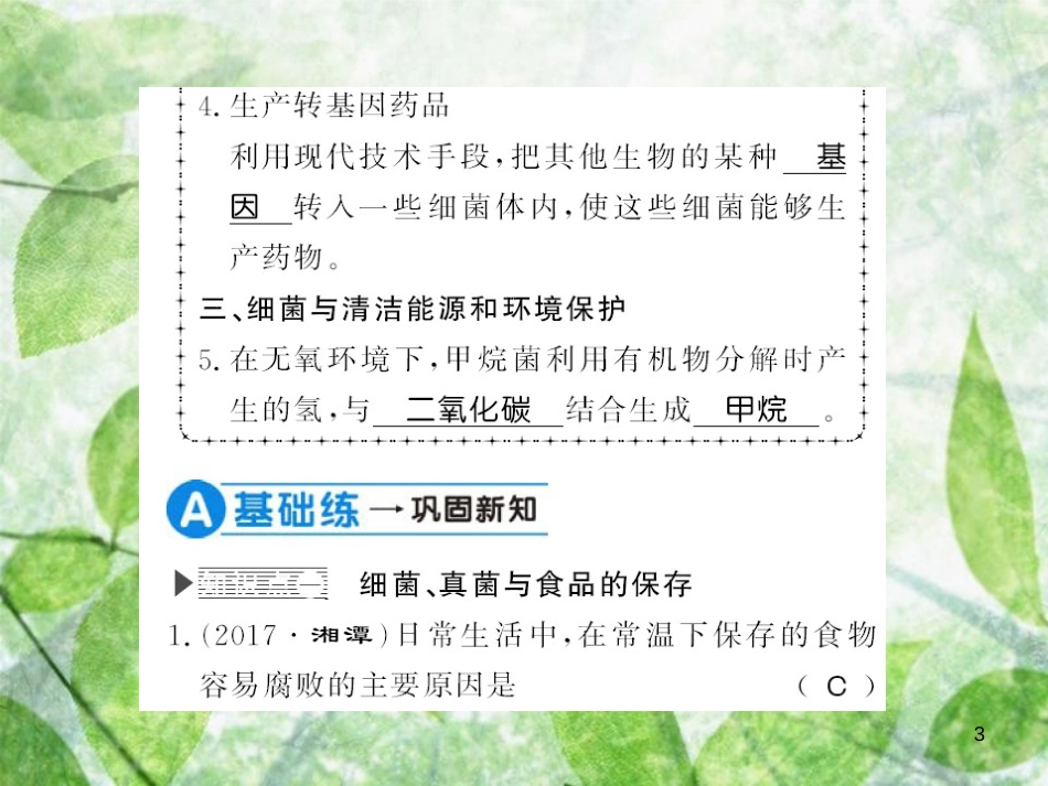 八年级生物上册 第五单元 第4章 第5节 人类对细菌和真菌的利用习题优质课件2 （新版）新人教版_第3页