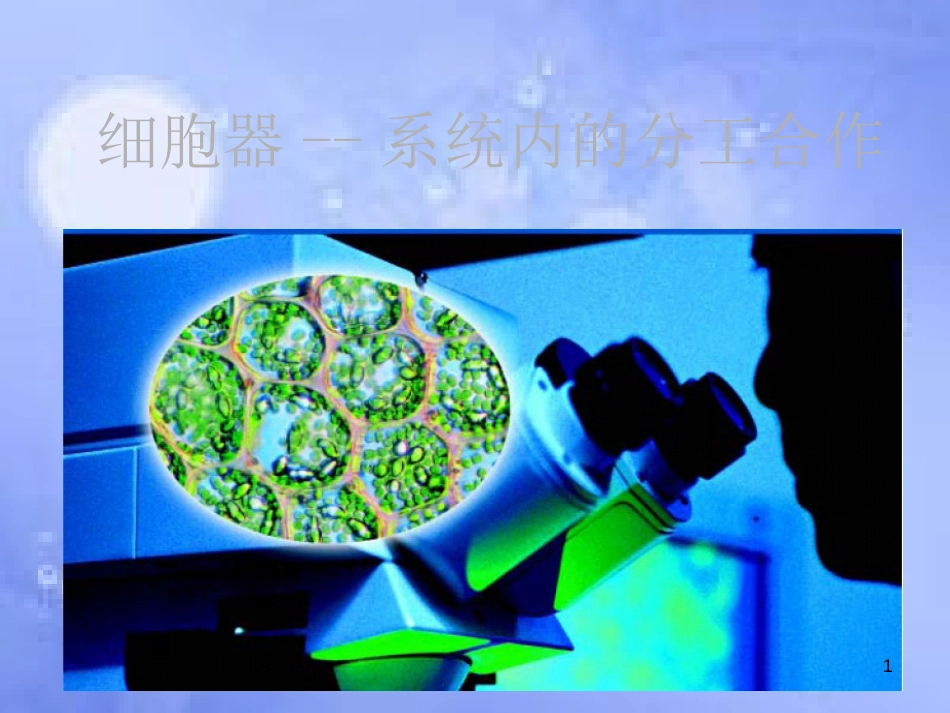 高中生物 第三章 细胞的基本结构 3.2 细胞器-系统内的分工合作课件1 新人教版必修1_第1页