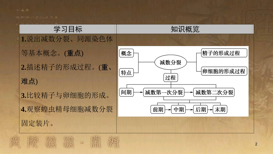 高中生物 第二章 基因和染色体的关系 第1节 减数分裂和受精作用（Ⅰ）优质课件 新人教版必修2_第2页