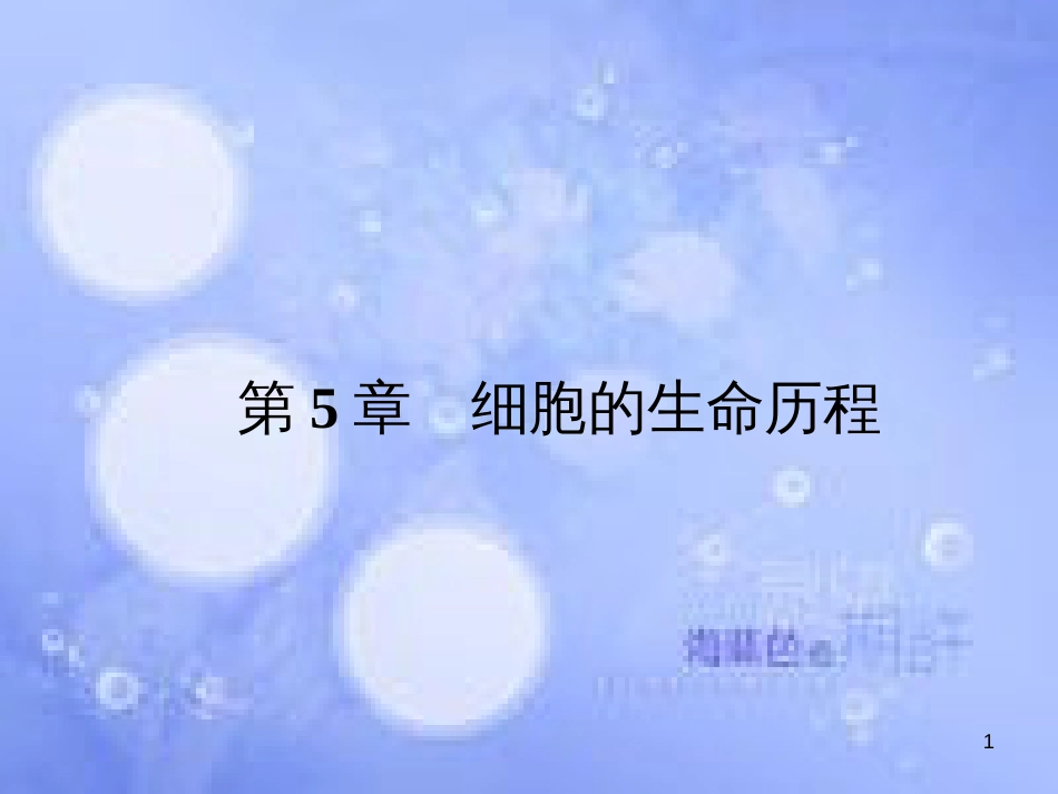 高考生物一轮总复习 细胞的生命历程课件 新人教版必修1_第1页