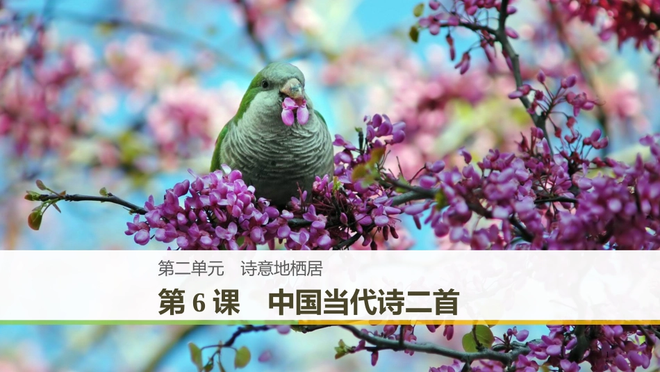 （豫宁）高中语文 第二单元 诗意地栖居 第6课 中国当代诗二首优质课件 语文版必修1_第1页